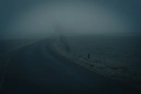 안개 낀 도로 4K 배경화면 · nature · 3840×2560