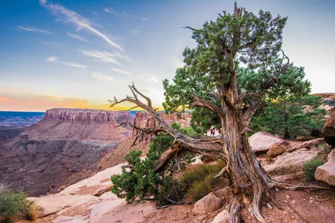 Grand Canyon 4K Wallpaper · travel · 3840×2560