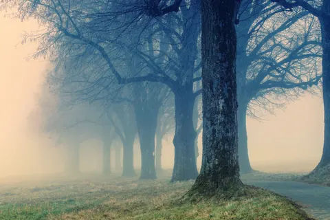 Fondo de pantalla Carretera con niebla 4K · nature · 3840×2560