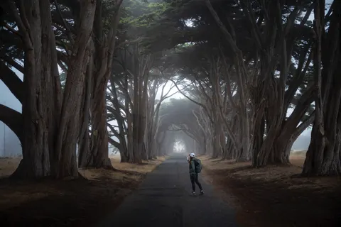 Foggy Road 4K Wallpaper · nature · 3840×2560