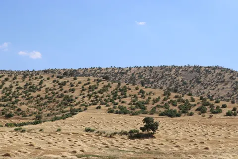 Pyramids 4K Wallpaper · travel · 3840×2560