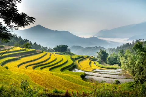 والپیپر مزارع پلکانی برنج با کیفیت 4K · nature · 3840×2561