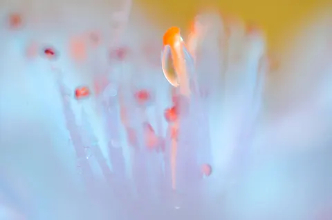 Soap Bubble 4K Wallpaper · abstract · 3840×2555