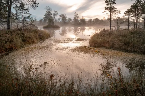 Nebliger Bergsee 4K Hintergrundbild · nature · 3840×2560