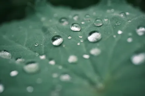 Oil Bubbles 4K Wallpaper · abstract · 3840×2560