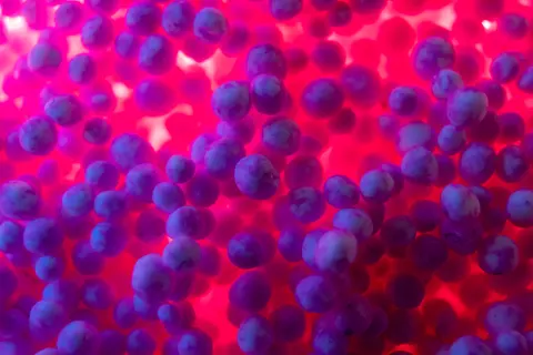 Oil Bubbles 4K Wallpaper · abstract · 3840×2560