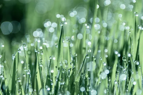 Oil Bubbles 4K Wallpaper · abstract · 3840×2560