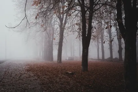안개 낀 도로 4K 배경화면 · nature · 3840×2560