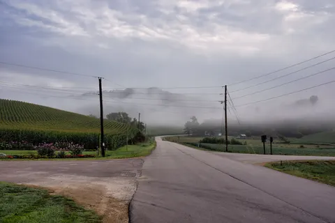 雾中道路 4K壁纸 · nature · 3840×2560