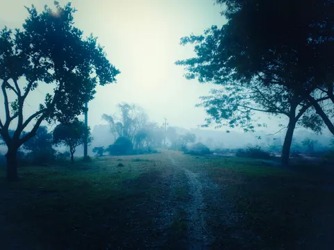 안개 낀 도로 4K 배경화면 · nature · 3840×2878