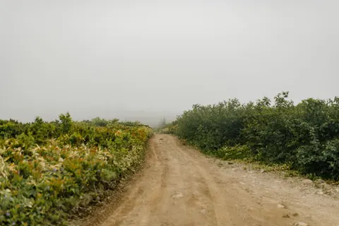안개 낀 도로 4K 배경화면 · nature · 3840×2560