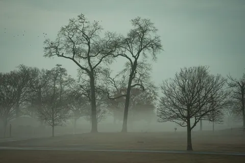 Fondo de pantalla Carretera con niebla 4K · nature · 3840×2560