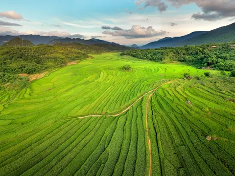 والپیپر مزارع پلکانی برنج با کیفیت 4K · nature · 3840×2880