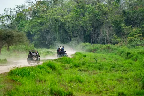 Off-Road 4K Wallpaper · cars · 3840×2560