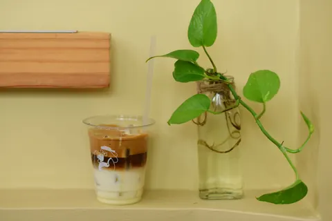 Coffee 4K Wallpaper · food · 3840×2563