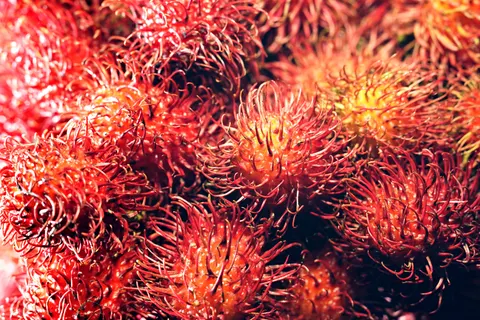 Fresh Fruit 4K Wallpaper · food · 3840×2560