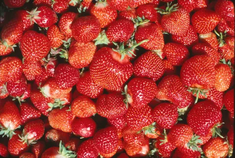 Fresh Fruit 4K Wallpaper · food · 3840×2595