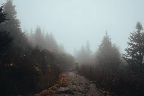 안개 낀 도로 4K 배경화면 · nature · 3840×2560