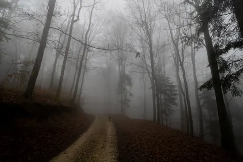 Foggy Road 4K Wallpaper · nature · 3840×2560