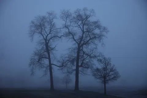 Foggy Road 4K Wallpaper · nature · 3840×2561