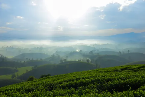 Tea 4K Wallpaper · food · 3840×2560