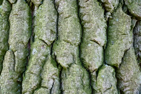 Wood Grain 4K Wallpaper · minimal · 3840×2560