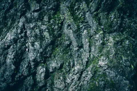 Wood Grain 4K Wallpaper · minimal · 3840×2560