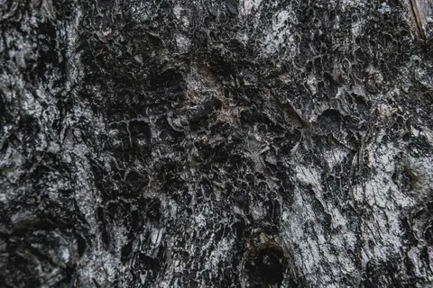 والپیپر رگه‌های چوب با کیفیت 4K · minimal · 3840×2560