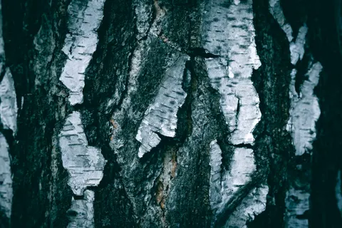 Wood Grain 4K Wallpaper · minimal · 3840×2560