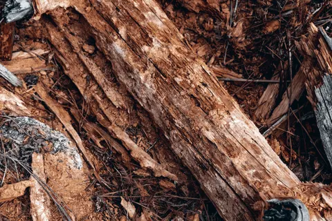 Wood Grain 4K Wallpaper · minimal · 3840×2560