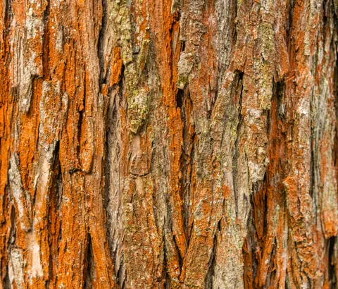 Wood Grain 4K Wallpaper · minimal · 3840×3278