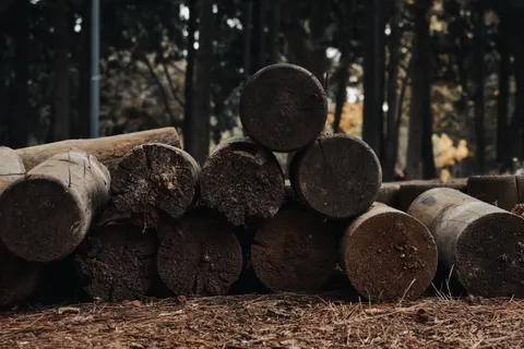 Wood Grain 4K Wallpaper · minimal · 3840×2560