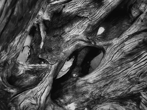 Wood Grain 4K Wallpaper · minimal · 3840×2873