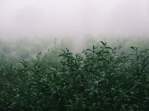 Foggy Minimal 4K Wallpaper · minimal · 3840×2880