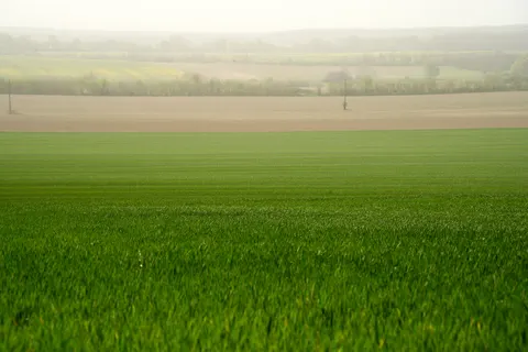 Foggy Minimal 4K Wallpaper · minimal · 3840×2561