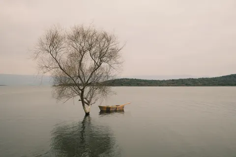 Lone Tree 4K Wallpaper · minimal · 3840×2560