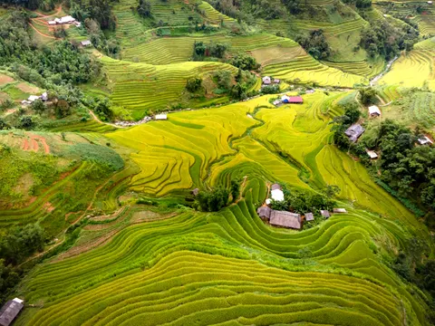 Rice Terraces 4K Wallpaper · nature · 3840×2880