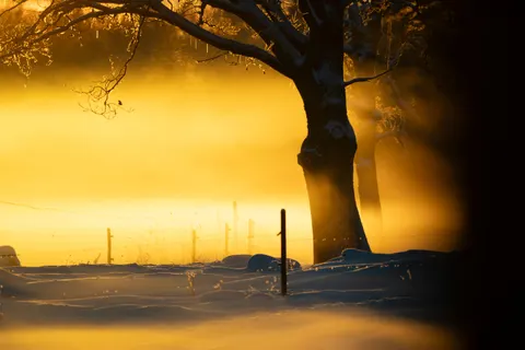 Lone Tree 4K Wallpaper · minimal · 3840×2560