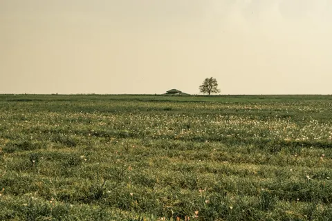 Lone Tree 4K Wallpaper · minimal · 3840×2560