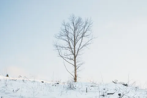 Snow Field 4K Wallpaper · minimal · 3840×2560
