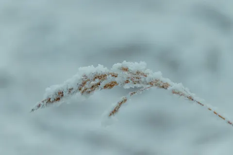 Snow Field 4K Wallpaper · minimal · 3840×2560