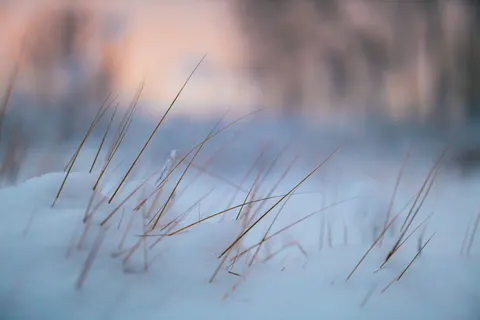 Snow Field 4K Wallpaper · minimal · 3840×2560