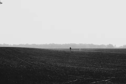 Snow Field 4K Wallpaper · minimal · 3840×2560