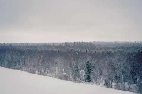 Snow Field 4K Wallpaper · minimal · 3840×2563