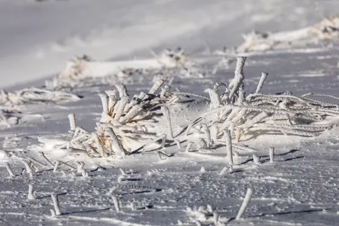 Snow Field 4K Wallpaper · minimal · 3840×2560