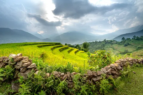 Fond d'écran Rizières en terrasses 4K · nature · 3840×2561