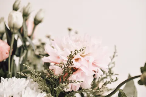 Peony 4K Wallpaper · flowers · 3840×2560