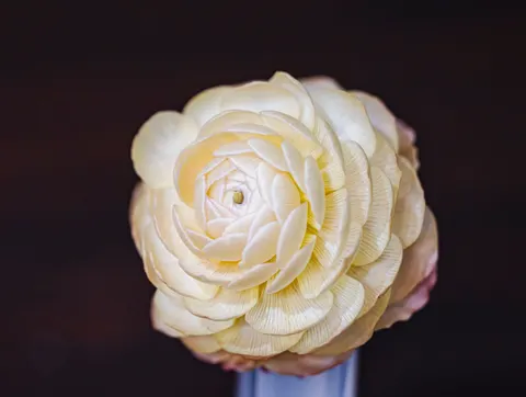 Peony 4K Wallpaper · flowers · 3840×2892