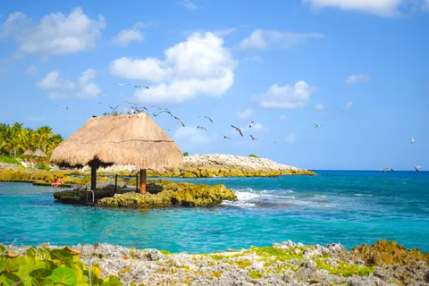 Fondo de pantalla Playa tropical 4K · ocean · 3840×2560
