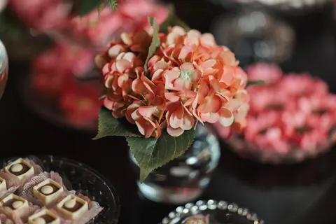 Hydrangea 4K Wallpaper · flowers · 3840×2560